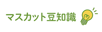 マメ知識